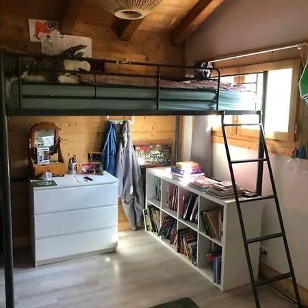 Шале Chalet En Plein Centre De Шамони