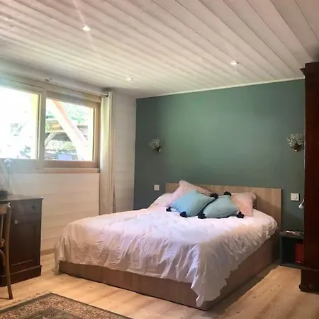 Шале Chalet En Plein Centre De Шамоні